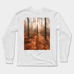 Foggy morning autumn forest Long Sleeve T-Shirt